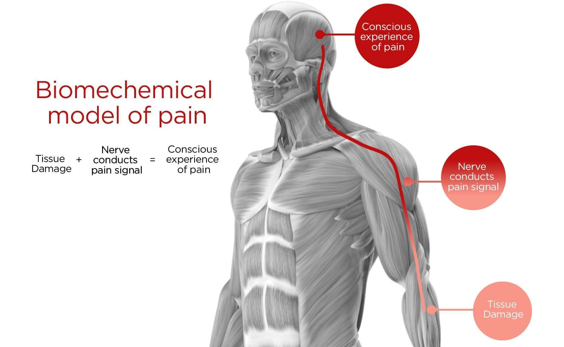The truth about pain